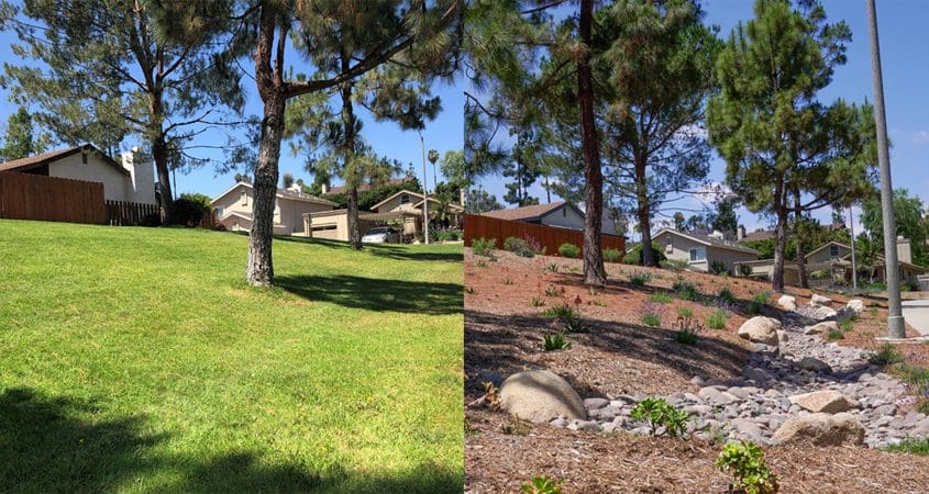 A visual example of the AB 1572 impact: This HOA-managed slope transitioned from nonfunctional turf—once irrigated with potable water—to a drought-tolerant landscape featuring native plants, mulch, and dry creek elements. AB 1572 prohibits the use of potable water for purely decorative grass on HOA, commercial, and institutional properties across California.