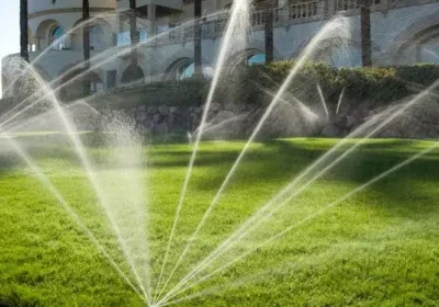 Sprinkler System in San Diego